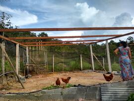 image 05 - Construção do Novo Galinheiro