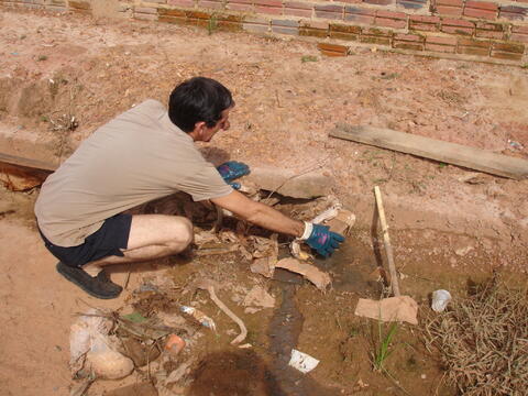 Original Digital object not accessible