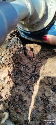 Original Digital object not accessible