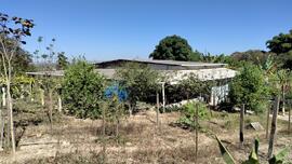 image 30 - Área da lateral da Casa entre o Galinheiro