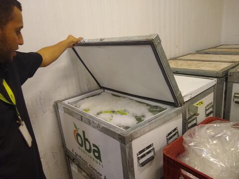 Original Digital object not accessible